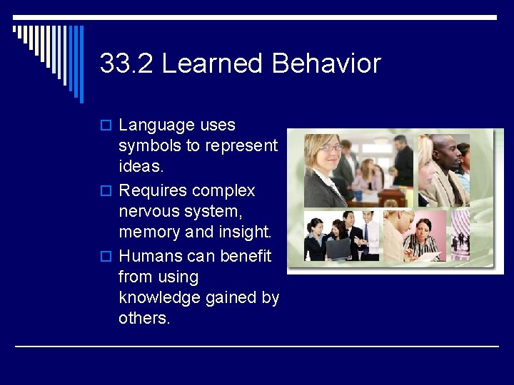33. 2 Learned Behavior o Language uses symbols to represent ideas. o Requires complex