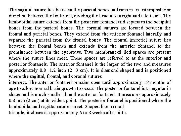 The sagittal suture lies between the parietal bones and runs in an anteroposterior direction