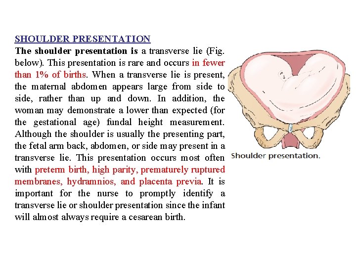 SHOULDER PRESENTATION The shoulder presentation is a transverse lie (Fig. below). This presentation is