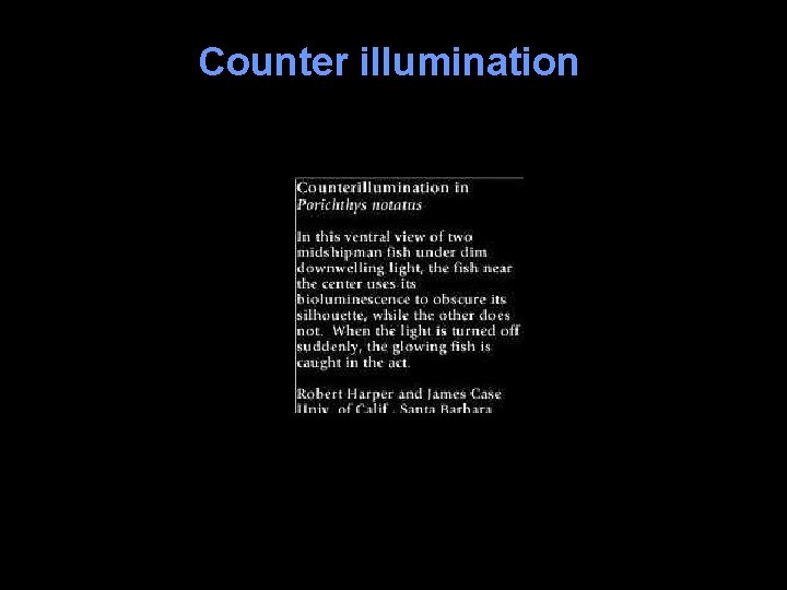 Counter illumination 