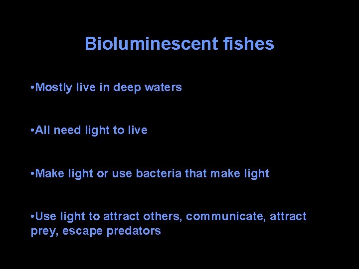 Bioluminescent fishes • Mostly live in deep waters • All need light to live