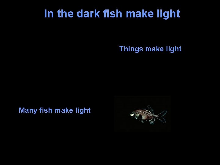 In the dark fish make light Things make light Many fish make light 