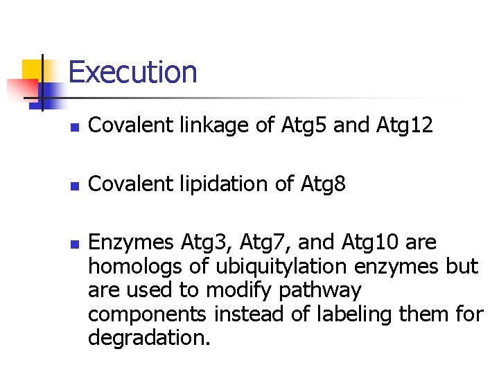 Execution n Covalent linkage of Atg 5 and Atg 12 n Covalent lipidation of