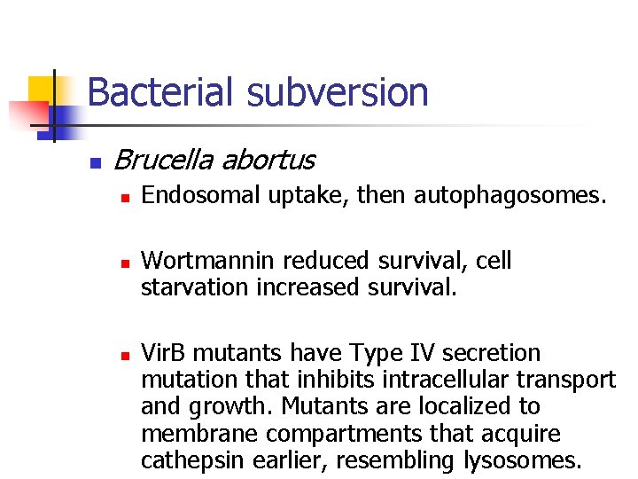 Bacterial subversion n Brucella abortus n n n Endosomal uptake, then autophagosomes. Wortmannin reduced