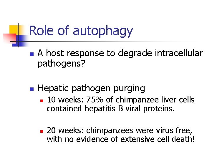 Role of autophagy n n A host response to degrade intracellular pathogens? Hepatic pathogen