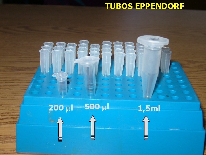 TUBOS EPPENDORF 200 l 500 l 1, 5 ml 