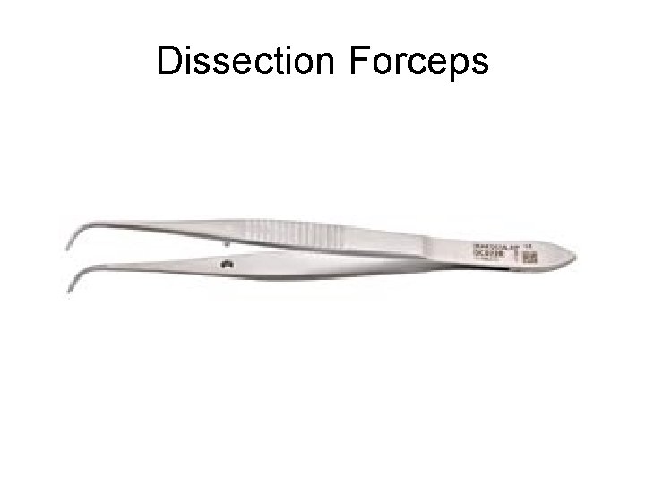 Dissection Forceps 