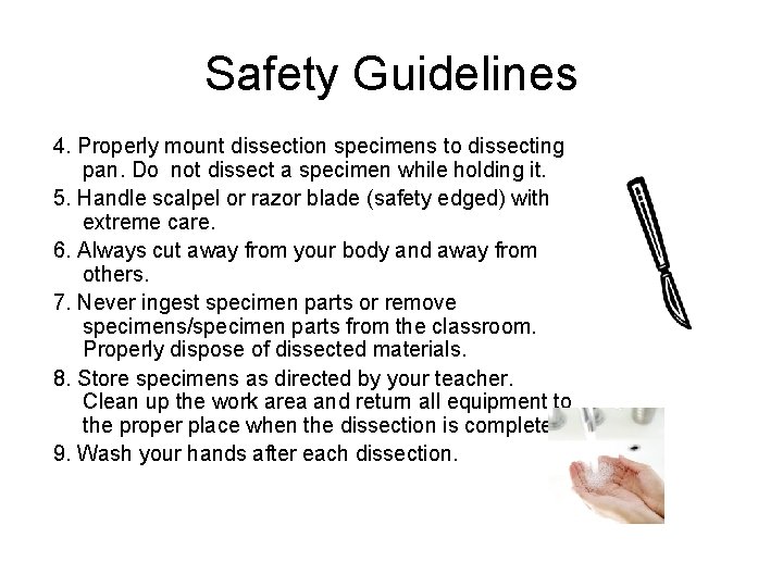 Safety Guidelines 4. Properly mount dissection specimens to dissecting pan. Do not dissect a