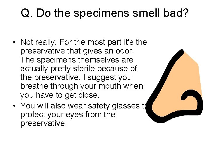 Q. Do the specimens smell bad? • Not really. For the most part it's