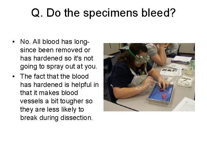 Q. Do the specimens bleed? • No. All blood has longsince been removed or