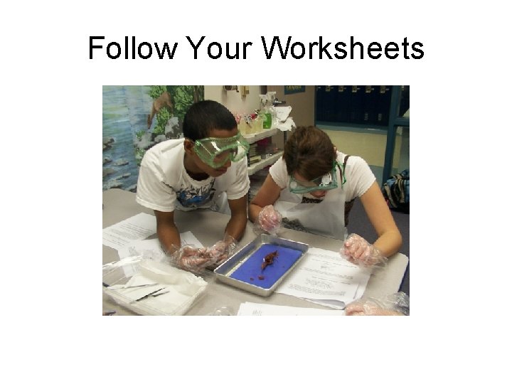 Follow Your Worksheets 