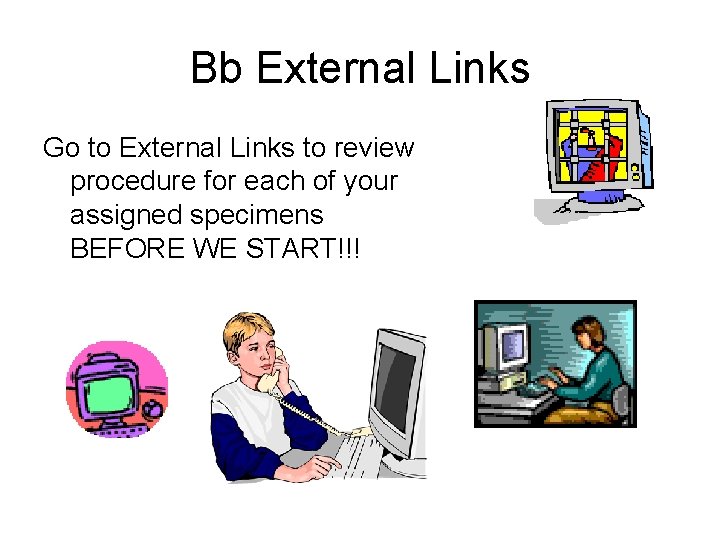 Bb External Links Go to External Links to review procedure for each of your