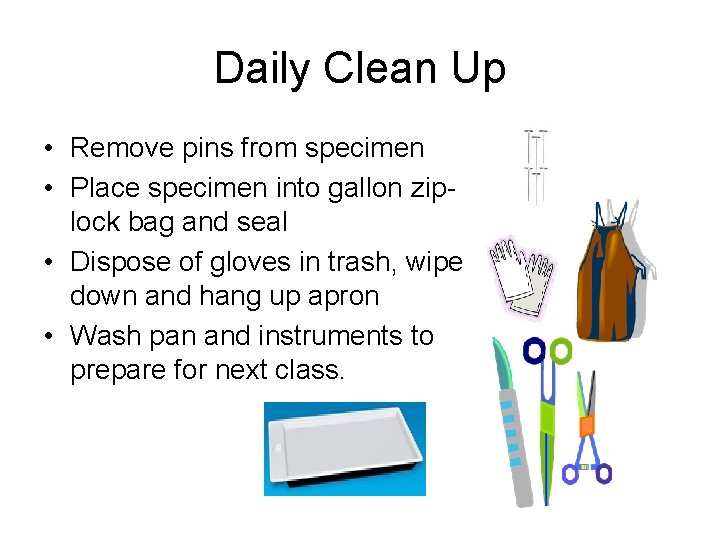 Daily Clean Up • Remove pins from specimen • Place specimen into gallon ziplock
