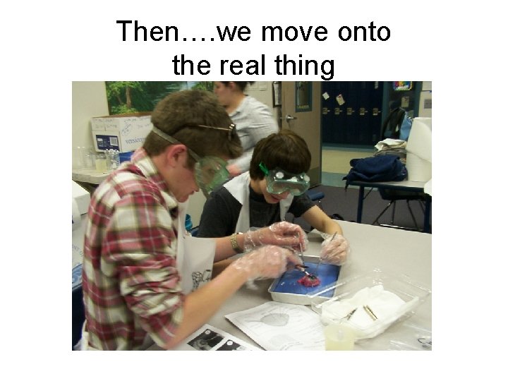 Then…. we move onto the real thing 