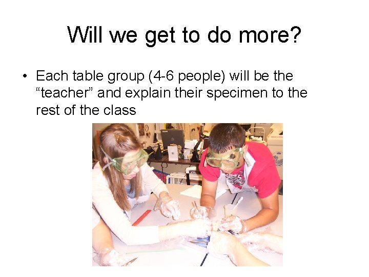 Will we get to do more? • Each table group (4 -6 people) will