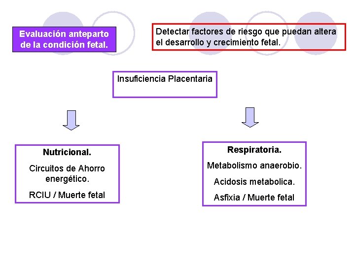 Evaluación anteparto de la condición fetal. Detectar factores de riesgo que puedan altera el