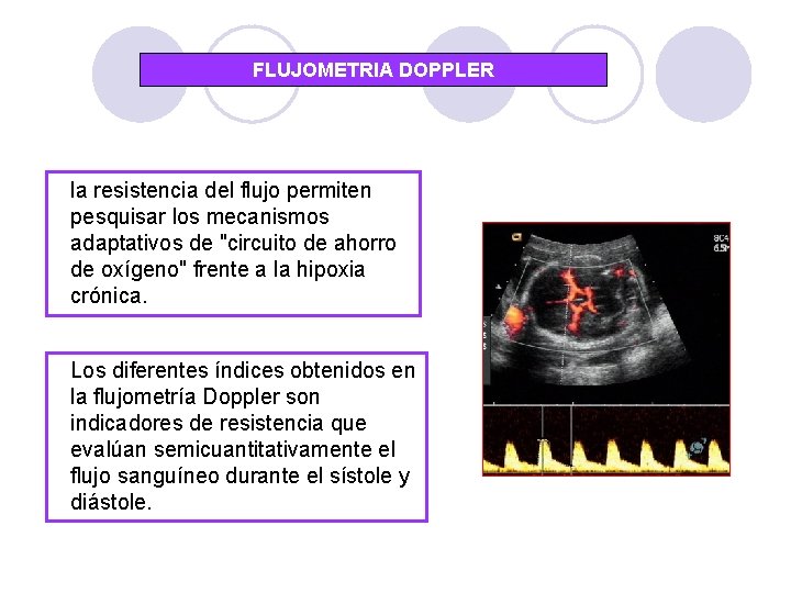 FLUJOMETRIA DOPPLER la resistencia del flujo permiten pesquisar los mecanismos adaptativos de "circuito de