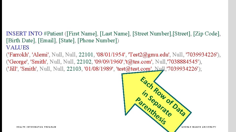 INSERT INTO #Patient ([First Name], [Last Name], [Street Number], [Street], [Zip Code], [Birth Date],