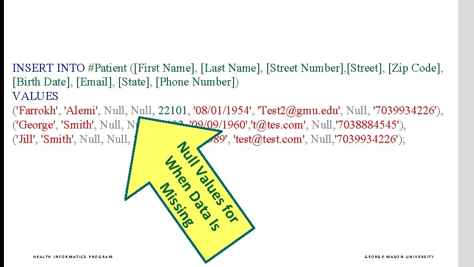 INSERT INTO #Patient ([First Name], [Last Name], [Street Number], [Street], [Zip Code], [Birth Date],