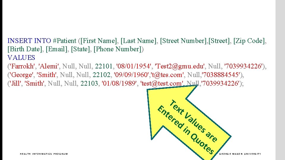 INSERT INTO #Patient ([First Name], [Last Name], [Street Number], [Street], [Zip Code], [Birth Date],
