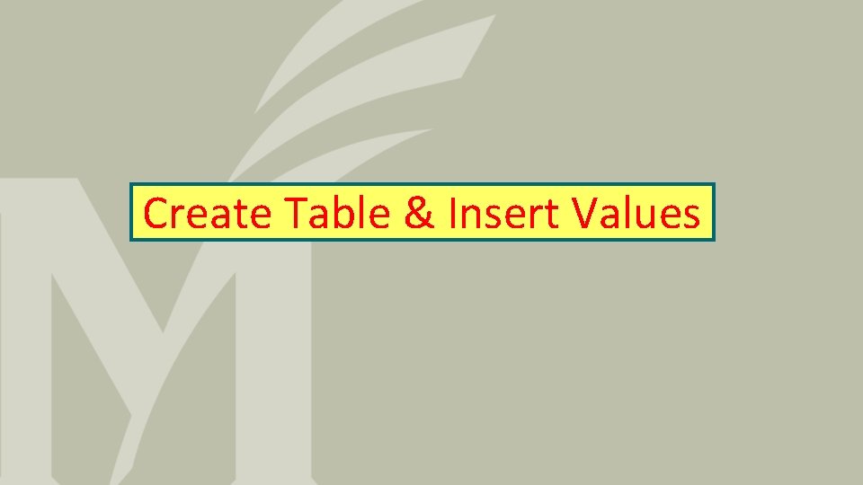 Create Table & Insert Values 