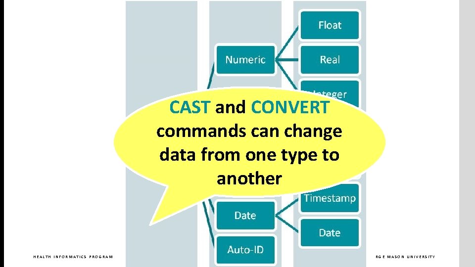 CAST and CONVERT commands can change data from one type to another HEALTH INFORMATICS