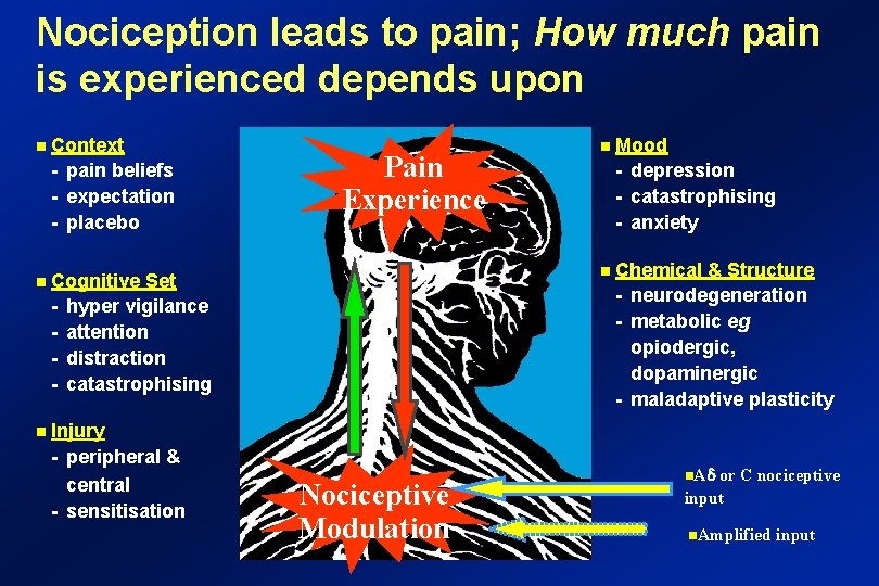 Nociception leads to pain; How much pain is experienced depends upon n Context -