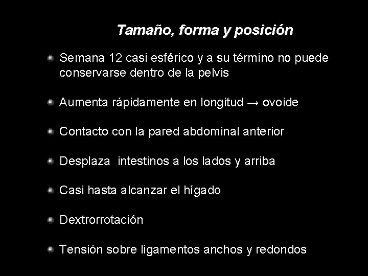 Tamaño, forma y posición Semana 12 casi esférico y a su término no puede