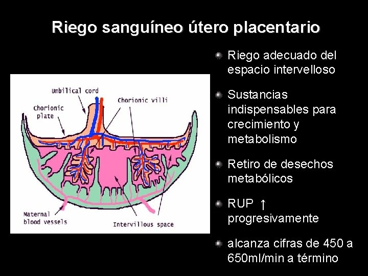 Riego sanguíneo útero placentario Riego adecuado del espacio intervelloso Sustancias indispensables para crecimiento y