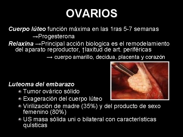 OVARIOS Cuerpo lúteo función máxima en las 1 ras 5 -7 semanas →Progesterona Relaxina
