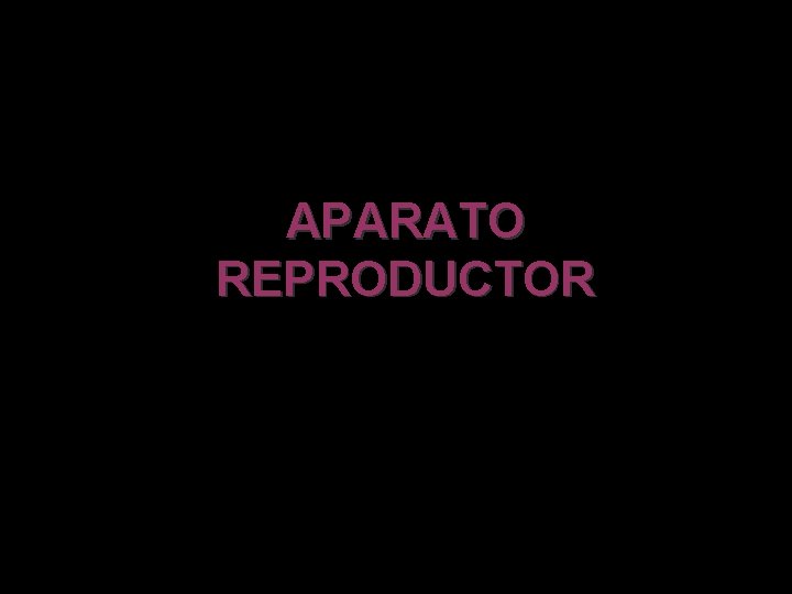 APARATO REPRODUCTOR 