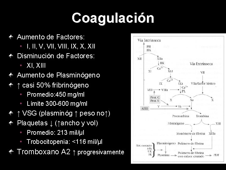 Coagulación Aumento de Factores: • I, II, V, VIII, IX, X, XII Disminución de