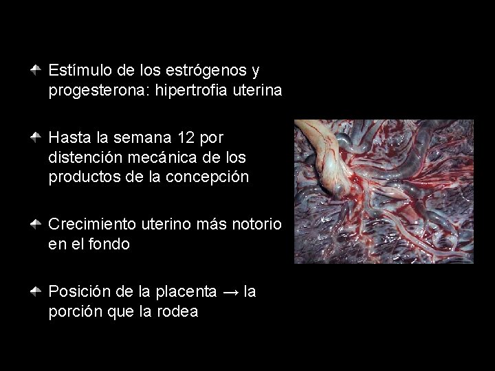 Estímulo de los estrógenos y progesterona: hipertrofia uterina Hasta la semana 12 por distención