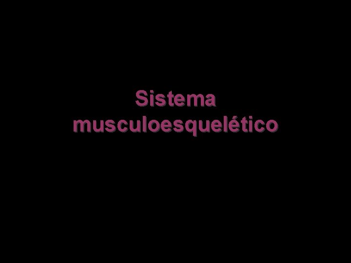 Sistema musculoesquelético 