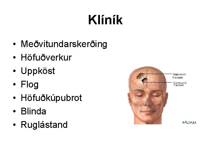 Klíník • • Meðvitundarskerðing Höfuðverkur Uppköst Flog Höfuðkúpubrot Blinda Ruglástand 