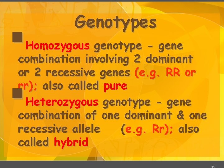 § Genotypes Homozygous genotype - gene combination involving 2 dominant or 2 recessive genes