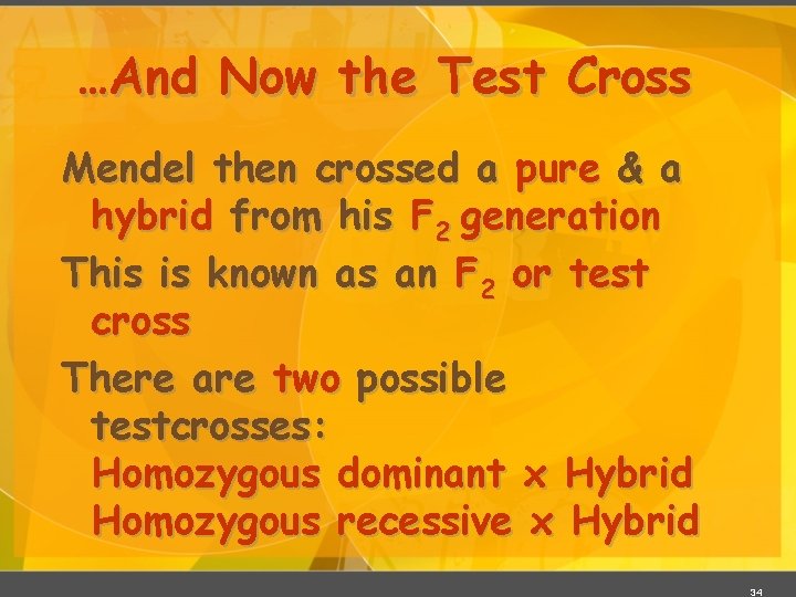 …And Now the Test Cross Mendel then crossed a pure & a hybrid from