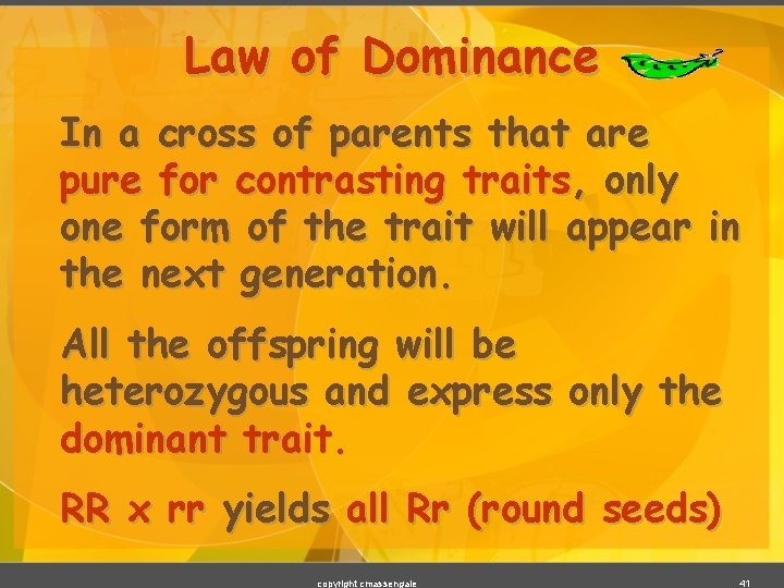 Law of Dominance In a cross of parents that are pure for contrasting traits,