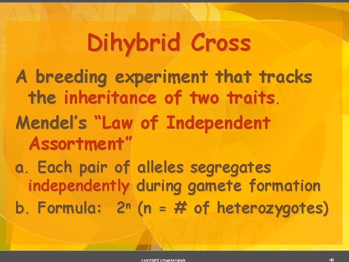 Dihybrid Cross A breeding experiment that tracks the inheritance of two traits. Mendel’s “Law