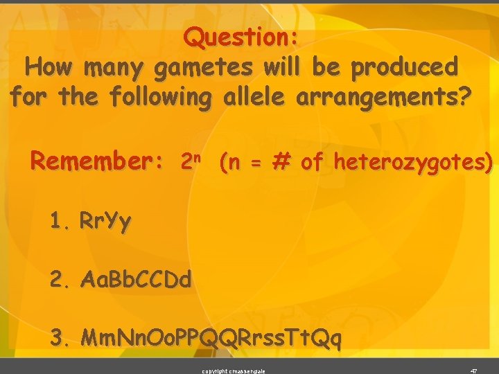 Question: How many gametes will be produced for the following allele arrangements? Remember: 2