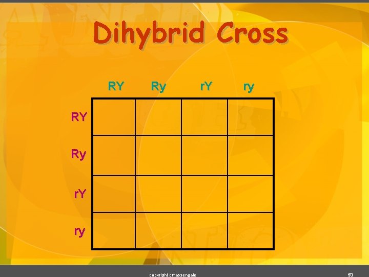 Dihybrid Cross RY Ry r. Y ry copyright cmassengale 50 