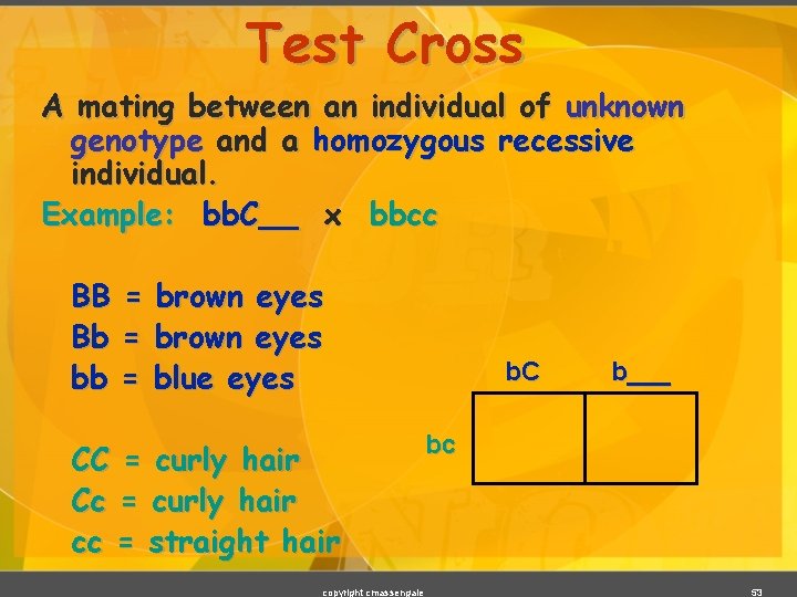 Test Cross A mating between an individual of unknown genotype and a homozygous recessive