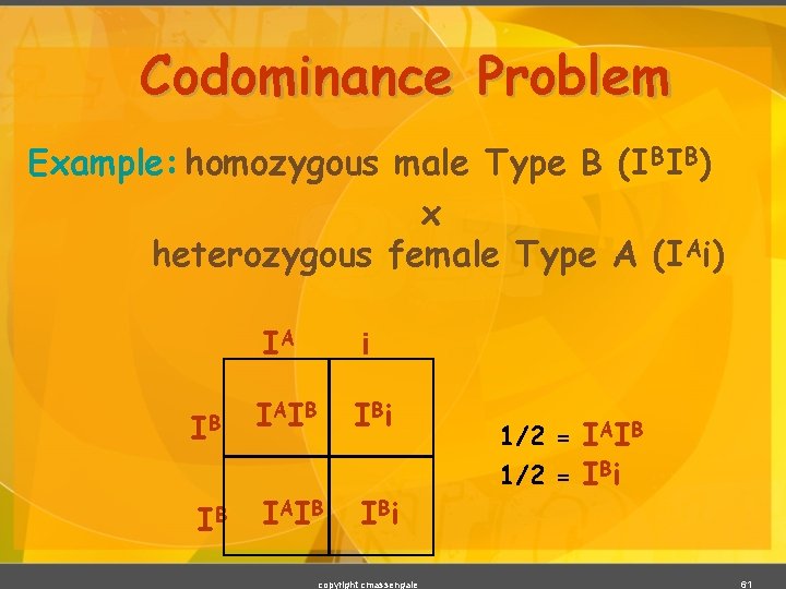 Codominance Problem Example: homozygous male Type B (IBIB) x heterozygous female Type A (IAi)