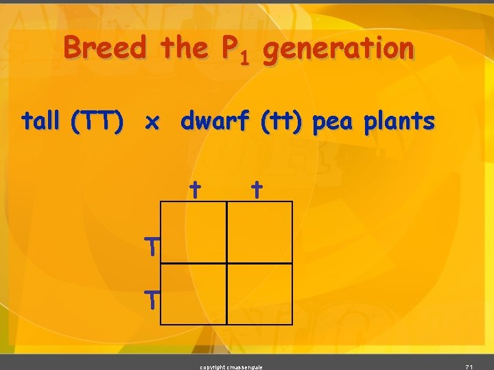 Breed the P 1 generation tall (TT) x dwarf (tt) pea plants t t