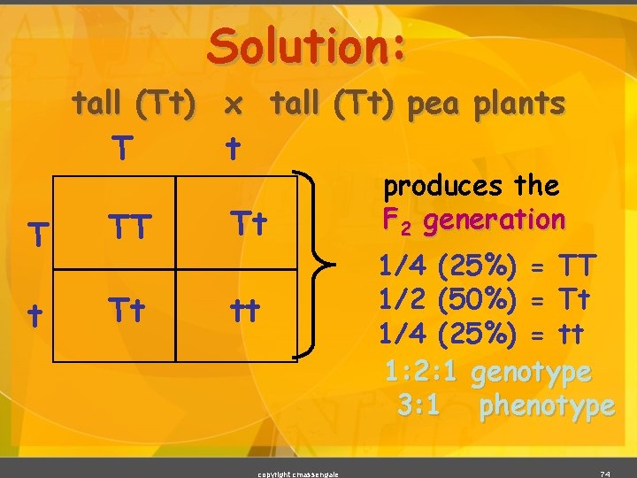 Solution: tall (Tt) x tall (Tt) pea plants T t T TT Tt tt