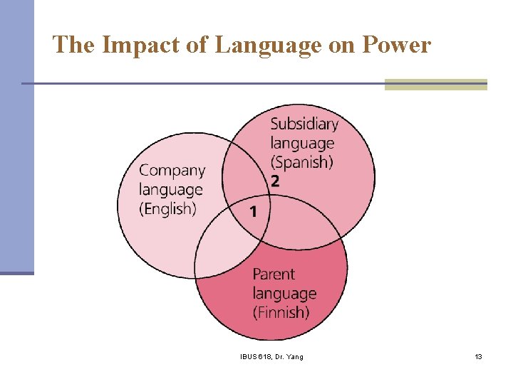 The Impact of Language on Power IBUS 618, Dr. Yang 13 