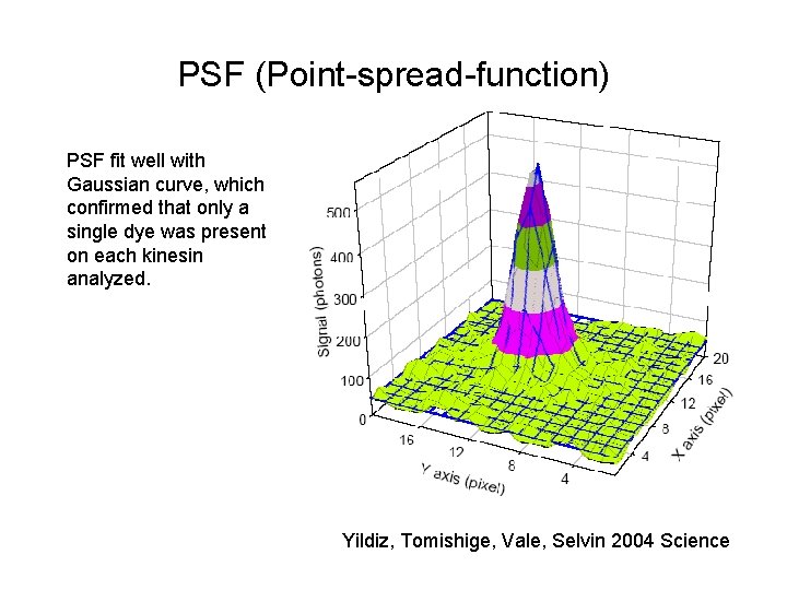 PSF (Point-spread-function) PSF fit well with Gaussian curve, which confirmed that only a single