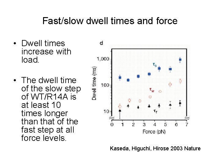 Fast/slow dwell times and force • Dwell times increase with load. • The dwell