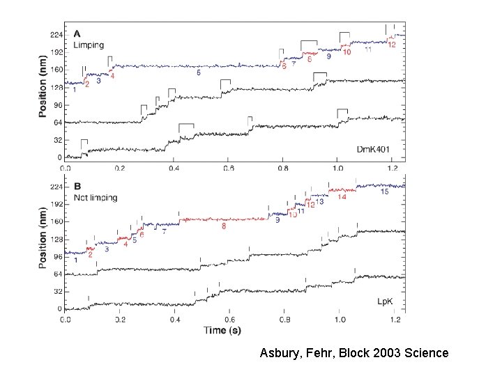 Asbury, Fehr, Block 2003 Science 