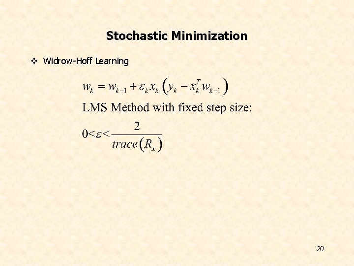 Stochastic Minimization v Widrow-Hoff Learning 20 